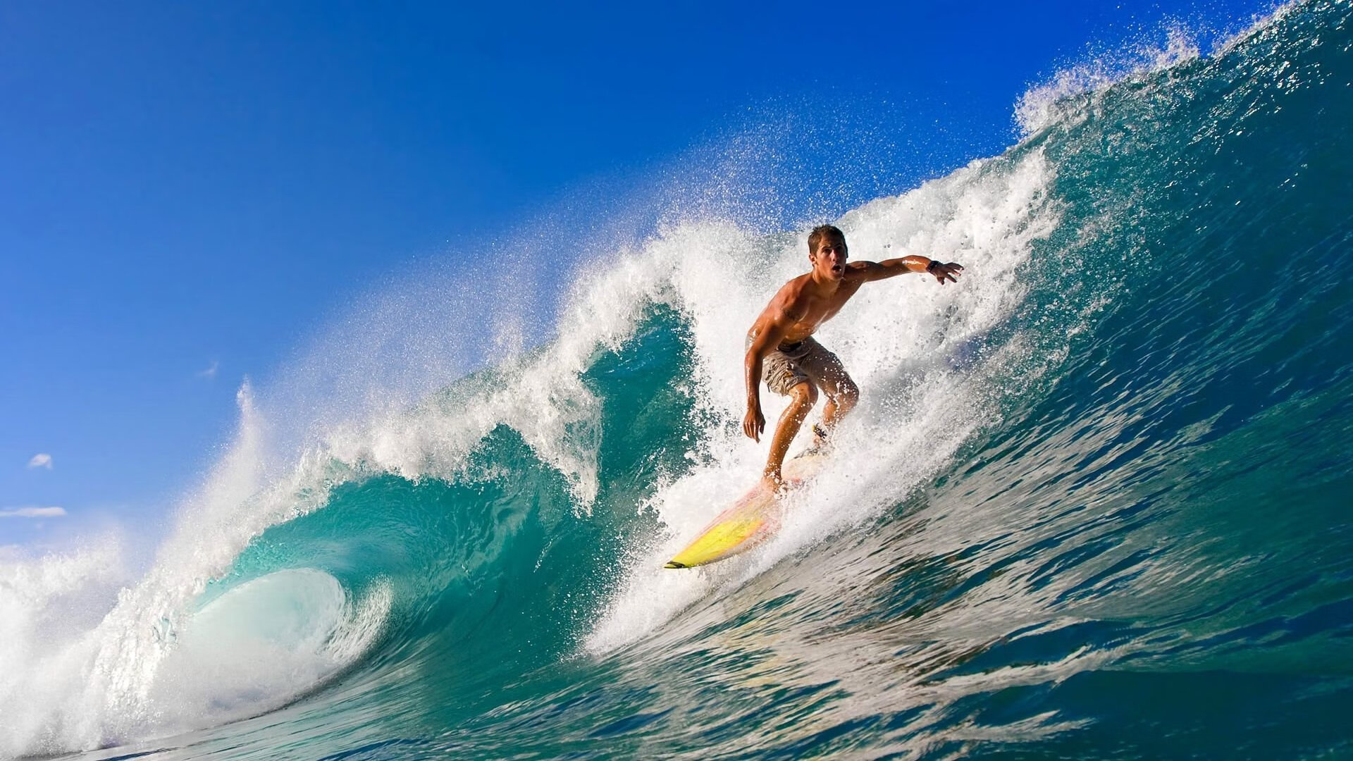 开云体育下载网址-加拿大队势不可挡，被热捧为夺冠热门，加拿大队伍